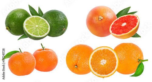 Citrus Fruit Set  tangerine  grapefruit  lime  orange  isolated on white background.