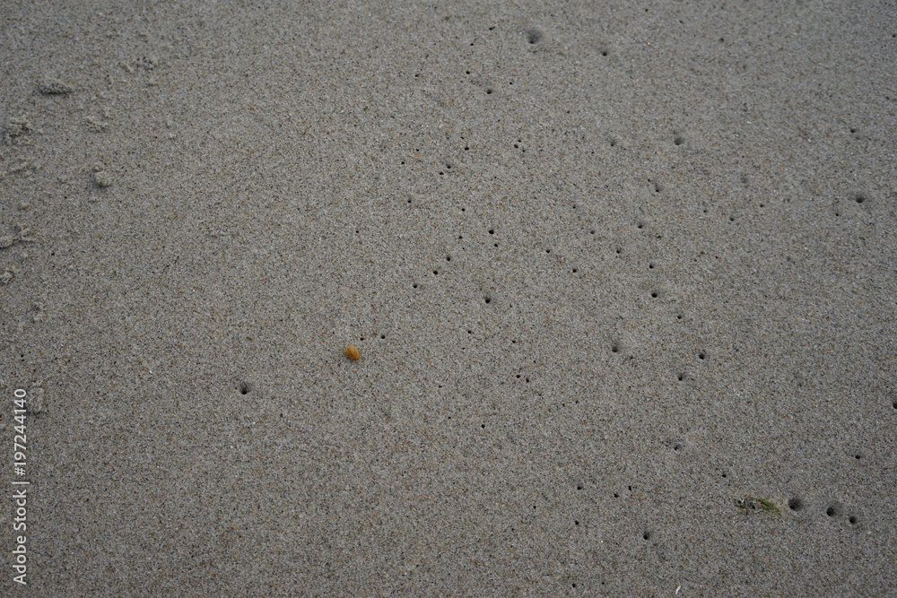 Sandy natural background of gray sand interspersed with amber. Sandy natural background of gray sand interspersed with amber.