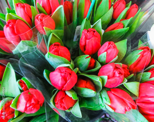 Assortment of bouquets of colorful tulips in a flower shop photo