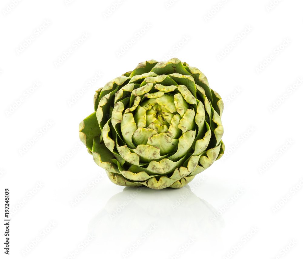 Obraz premium One globe artichoke flower isolated on white background raw fresh green.