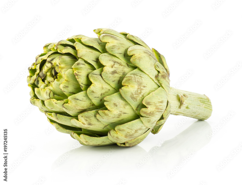 Fresh globe artichoke isolated on white background one raw green. Fresh globe artichoke isolated on white background one raw green.