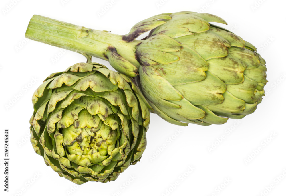 Fototapeta premium Two globe artichoke top view isolated on white background raw fresh green.