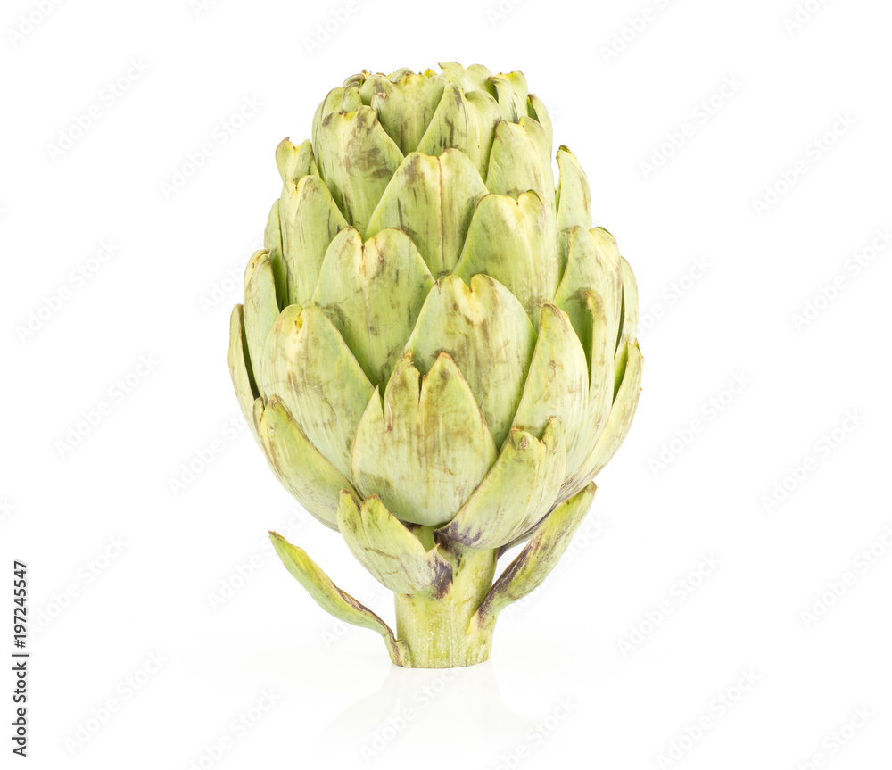 Obraz premium One globe artichoke flower isolated on white background fresh raw.
