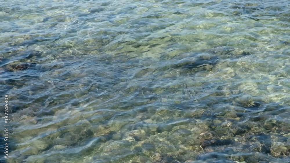 School of Fish Swimming in Ocean Tide Water School of Fish Swimming in Ocean Tide Water