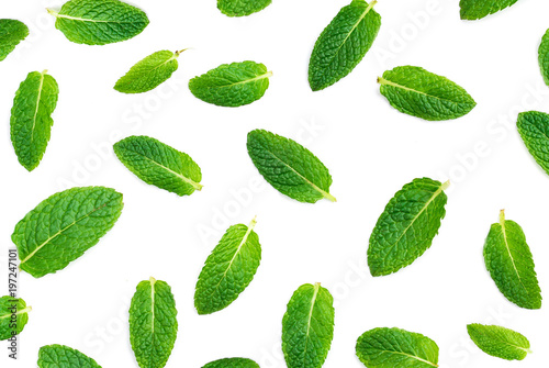 Fresh mint leaves pattern isolated on white background, top view. Set of peppermint, close up.