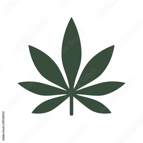 Marijuana or cannabis leaf Icon Vector Logo Template. Isolated illustration on white background.