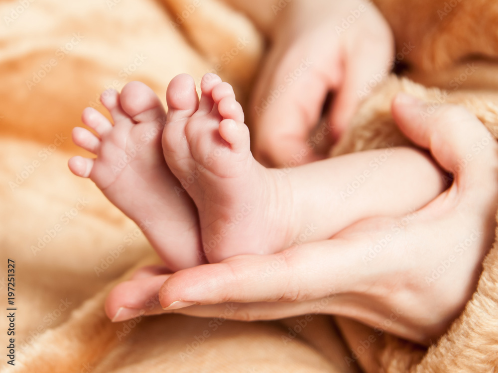 Baby feet cupped into mother's hands, close up Baby feet cupped into mother's hands, close up