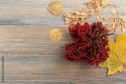 Colorful autumn leaves on wooden background, Copy space for text. Top view. photo