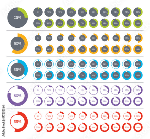 Set of pie chart infographic elements. 0, 5, 10, 15, 20, 25, 30, 35, 40, 45, 50, 55, 60, 65, 70, 75, 80, 85, 90, 95, 100 percents.