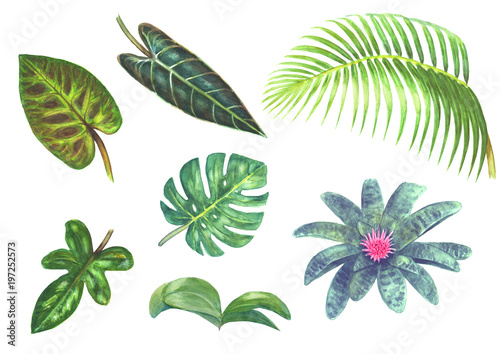 Set of watercolor bright tr...