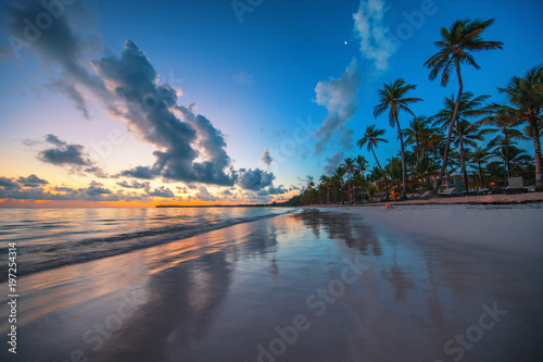 Palm tree on the tropical island beach. Dominican Republic. © ValentinValkov