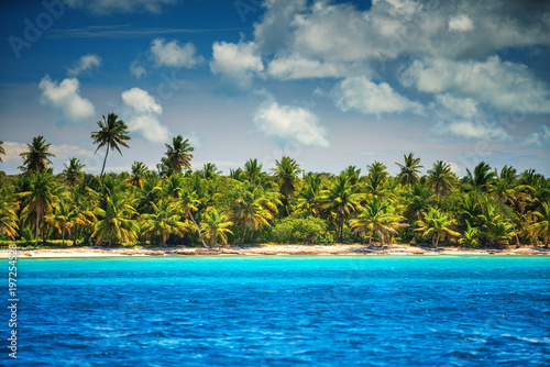 Palm tree and tropical beach, Saona Island, Dominican Republic © ValentinValkov