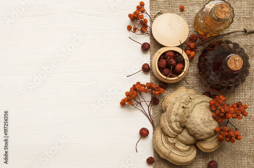 Wallpaper Mural Herbal medicine. Alternative medicine concept. Dry organic natural ingridients. Curative mushroom and tincture in bottle on wooden background with copy space. Torontodigital.ca