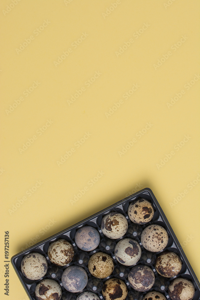 Quail eggs on yellow pastel backdrop. Flat lay. Easter minimal concept. Top view. Design, visual art. Quail eggs on yellow pastel backdrop. Flat lay. Easter minimal concept. Top view. Design, visual art.
