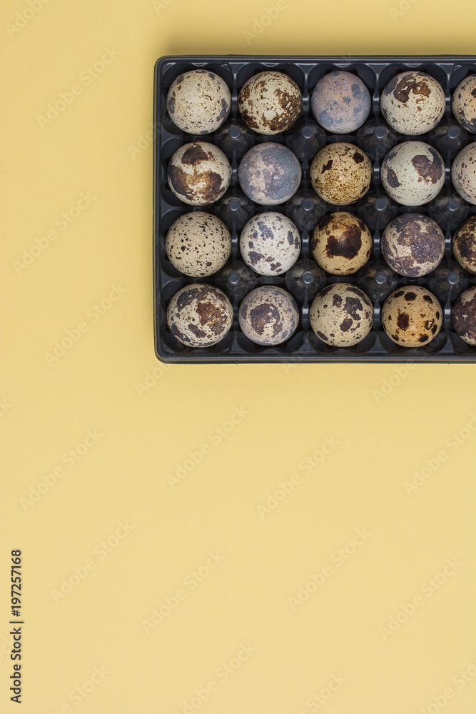 Quail eggs on yellow pastel backdrop. Flat lay. Easter minimal concept. Top view. Design, visual art. Quail eggs on yellow pastel backdrop. Flat lay. Easter minimal concept. Top view. Design, visual art.