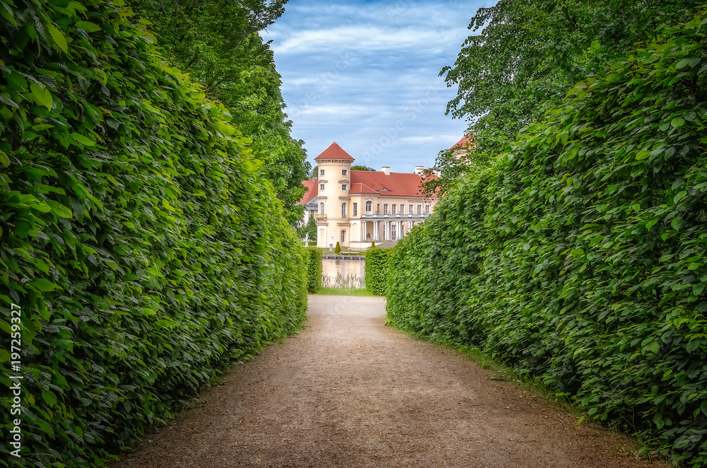 A path in the park amidst lush green bushes toward a castle
