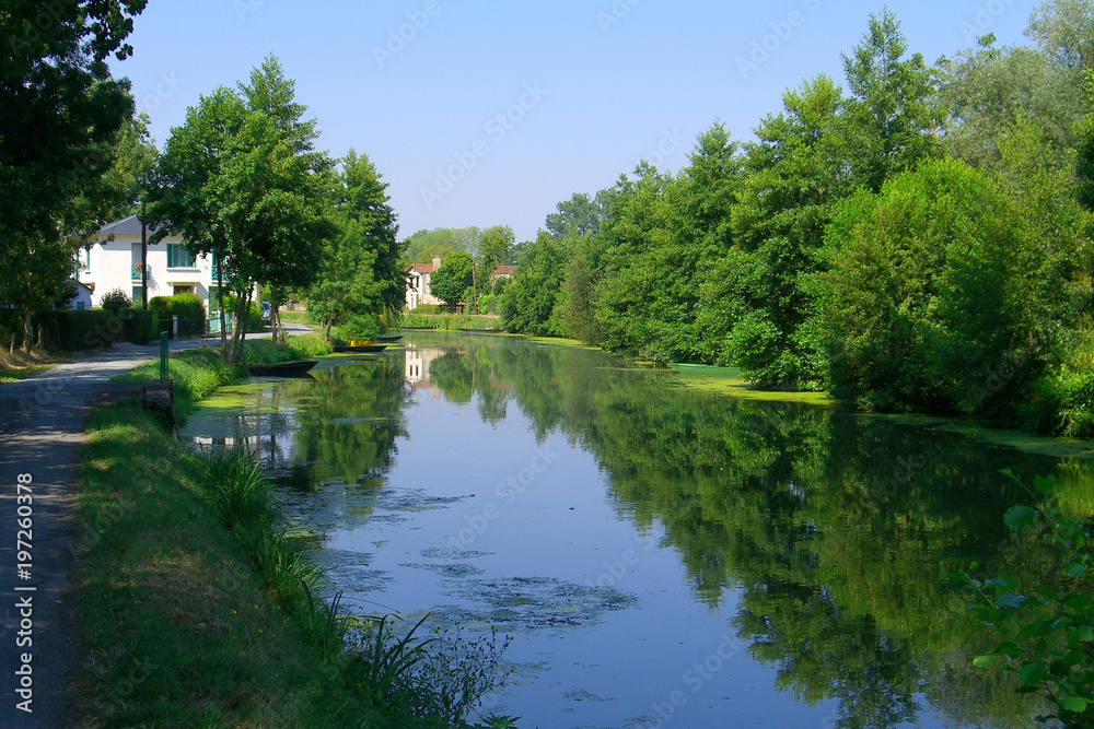 Fototapeta premium Marais Poitevin