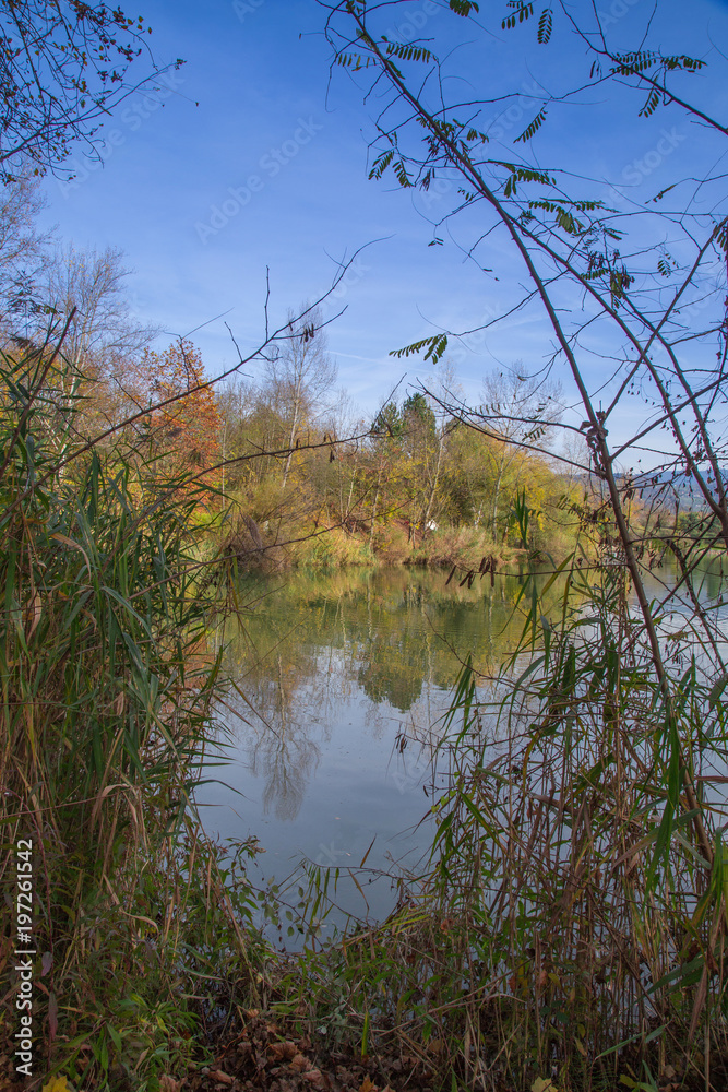 Obraz premium Paysage d'automne