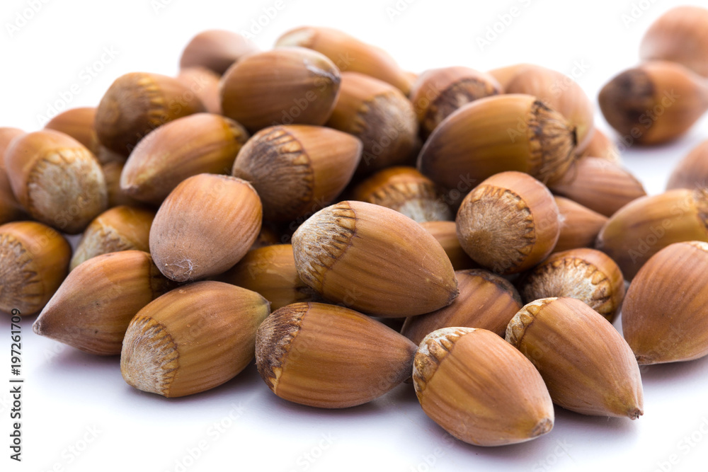 Noisettes Noisettes