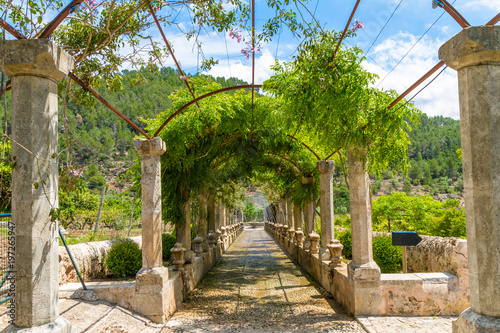 Mallorca. Water fountains alley in Alfabia Gardens, Jardines de Alfabia, Mallorca, Balearic Islands, Spain. Travel destination concept photo