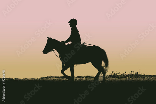 Equitazione cavallo e poni 