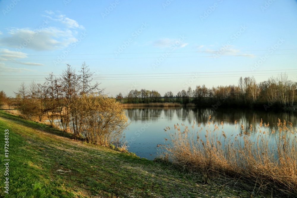 Colorful landscape with little lake, blue sky, clouds, green grass, reeeds on the bank, reflection of trees in water, electric lines Colorful landscape with little lake, blue sky, clouds, green grass, reeeds on the bank, reflection of trees in water, electric lines