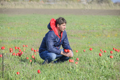 A man in a jacket on a field of tulips. Glade with tulips. © eleonimages