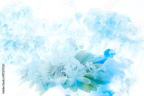 bright blue flower with spl...