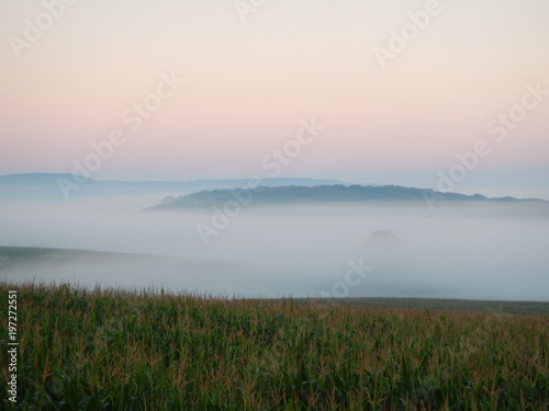 20130811 kappweiler brouillard