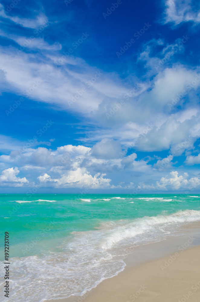 Miami tropical beach and ocean