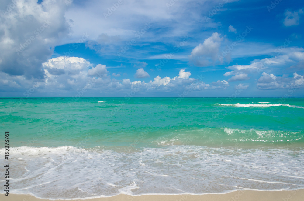 Miami tropical beach and ocean