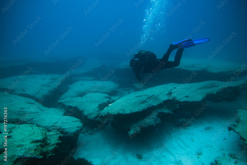 divers in immersion near the reef, divers in immersion near the reef,
