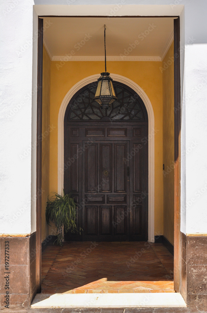 Fototapeta premium Zaguán de una casa en Carmona, Sevilla, Andalucía, España