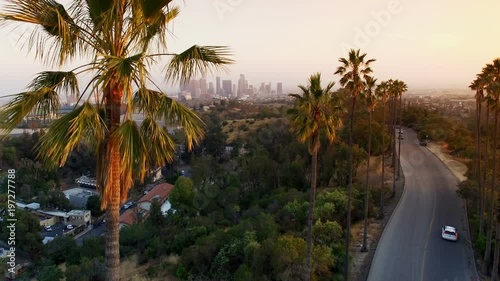 Pedestal up of palm tree in Los Angeles at sunset