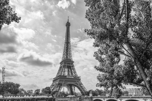 Fototapeta Naklejka Na Ścianę i Meble -  Eiffel tower particular vie