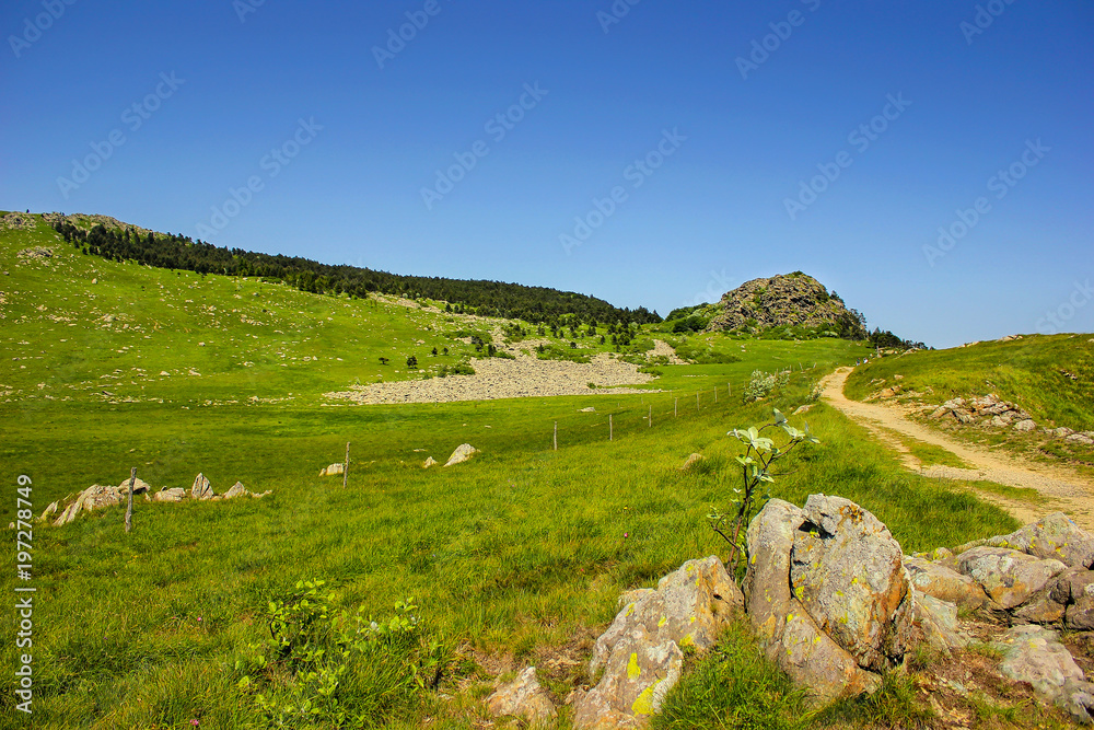 Alpine landscape with a blockfield dated from the last Ice Age in Beigua National Geopark, Liguria, Italy