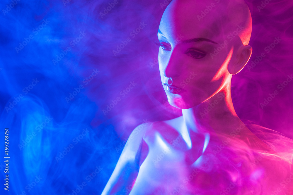 Bald girl. Dummy. Plastic woman in the smoke. The head of a female mannequin. Female mannequin. Bald girl. Dummy. Plastic woman in the smoke. The head of a female mannequin. Female mannequin.