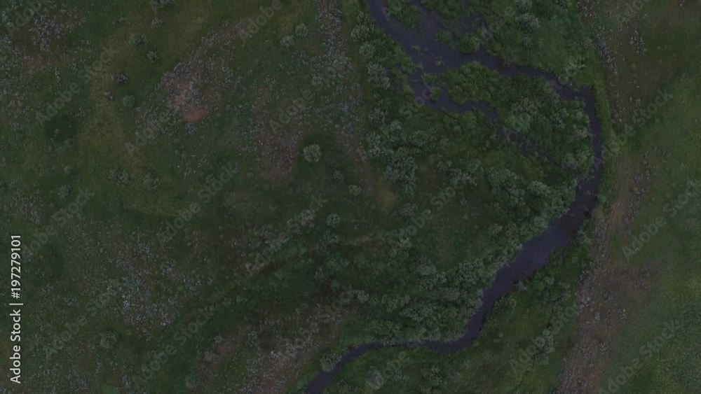 Top down view of streams flowing through green meadows Top down view of streams flowing through green meadows