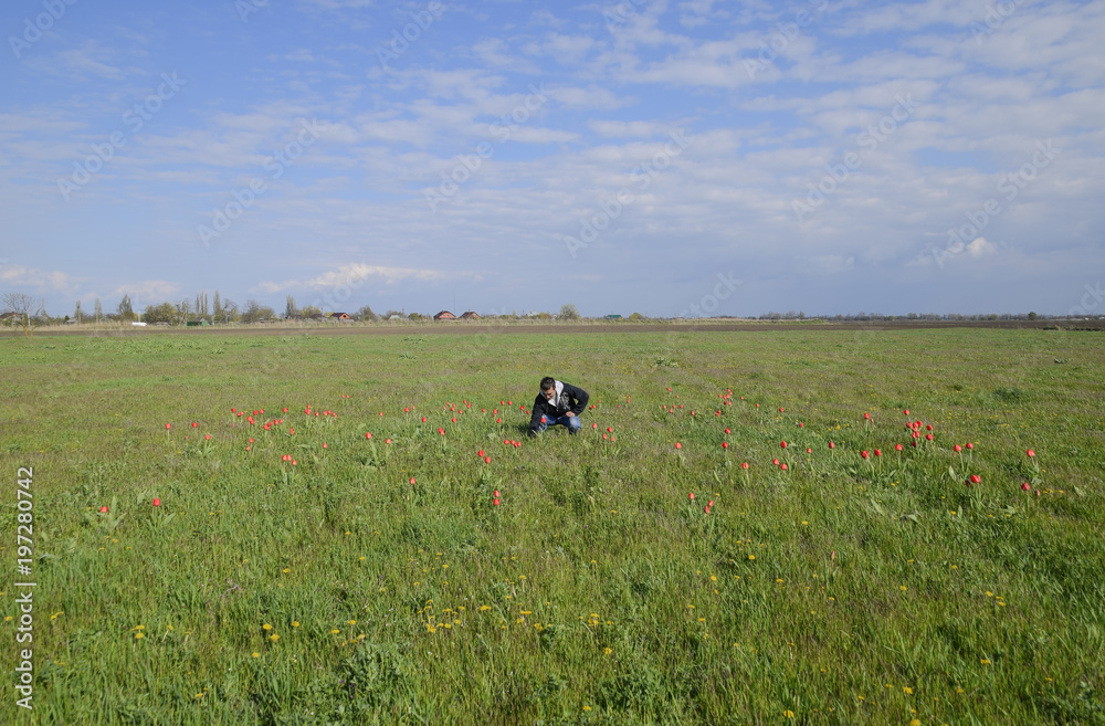 A man in a jacket on a field of tulips. Glade with tulips