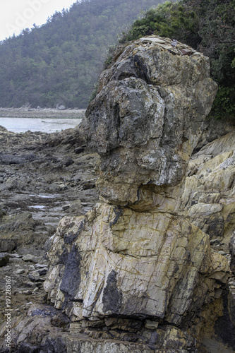 Unusual shaped beach rock
