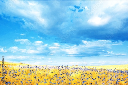 Field of Coneflowers-Infrared 3