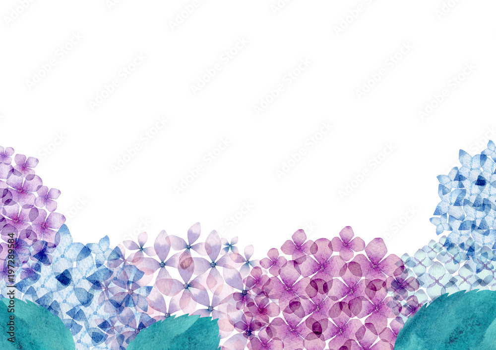 紫陽花 背景 フレーム 水彩 イラスト Stock Illustration Adobe Stock 紫陽花 背景 フレーム 水彩 イラスト Stock Illustration Adobe Stock