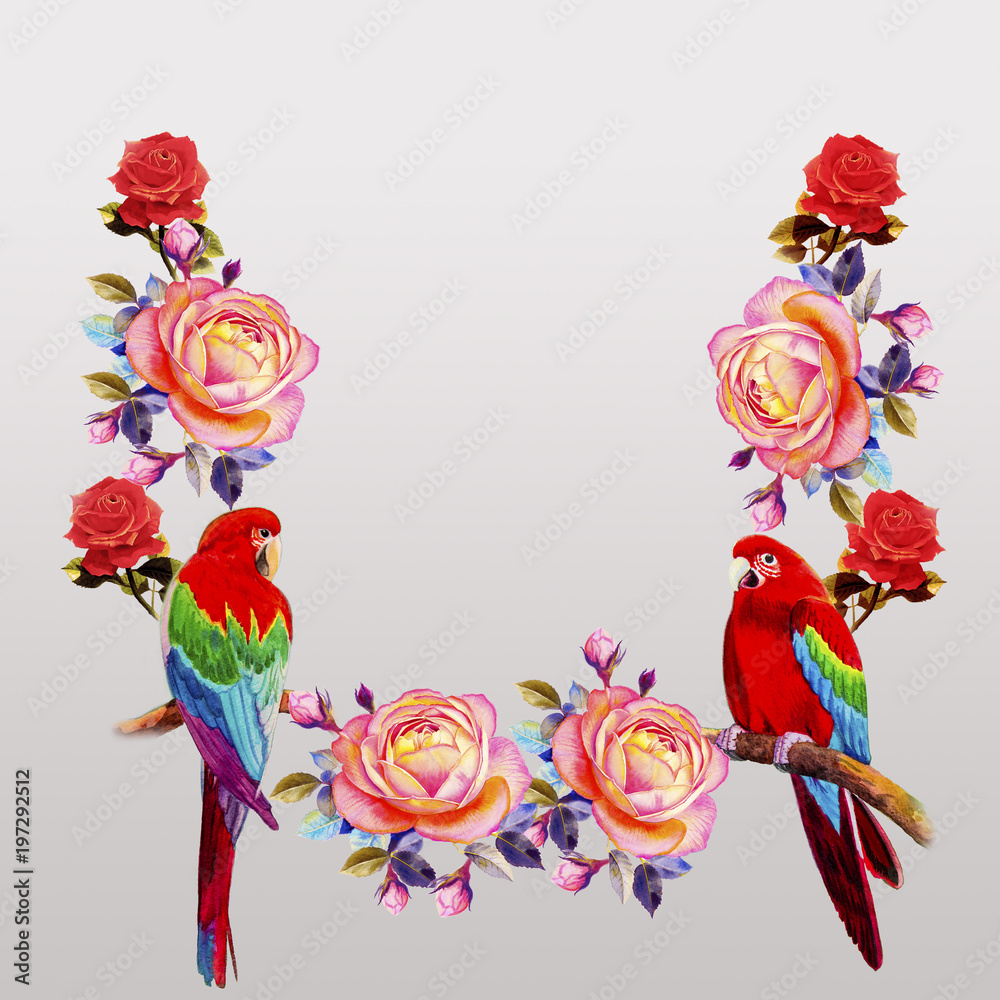 Obraz premium Painting of roses flowers and Macaw bird.