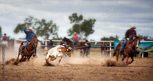 Calf Roping At A Country Rodeo photo