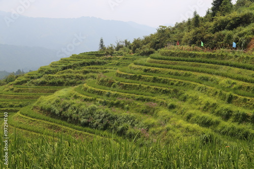 Dragon Backbone Rice Terraces in China 