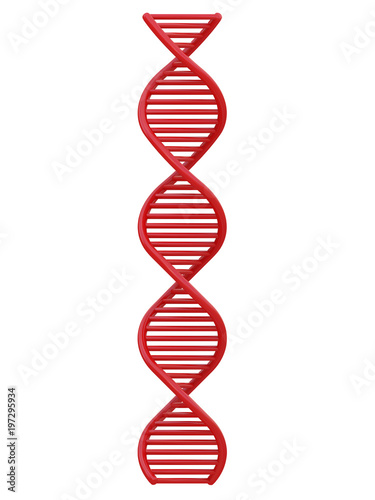 red DNA string front view isolated on a white background 3d rendering
