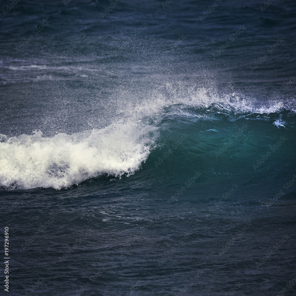 Cresta dell'onda