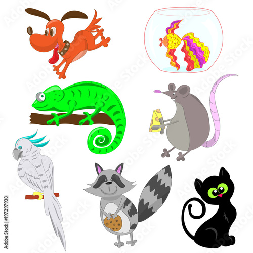 a collection of funny pets, a dog, a cat, a parrot, a chameleon. raccoon, fish, rat