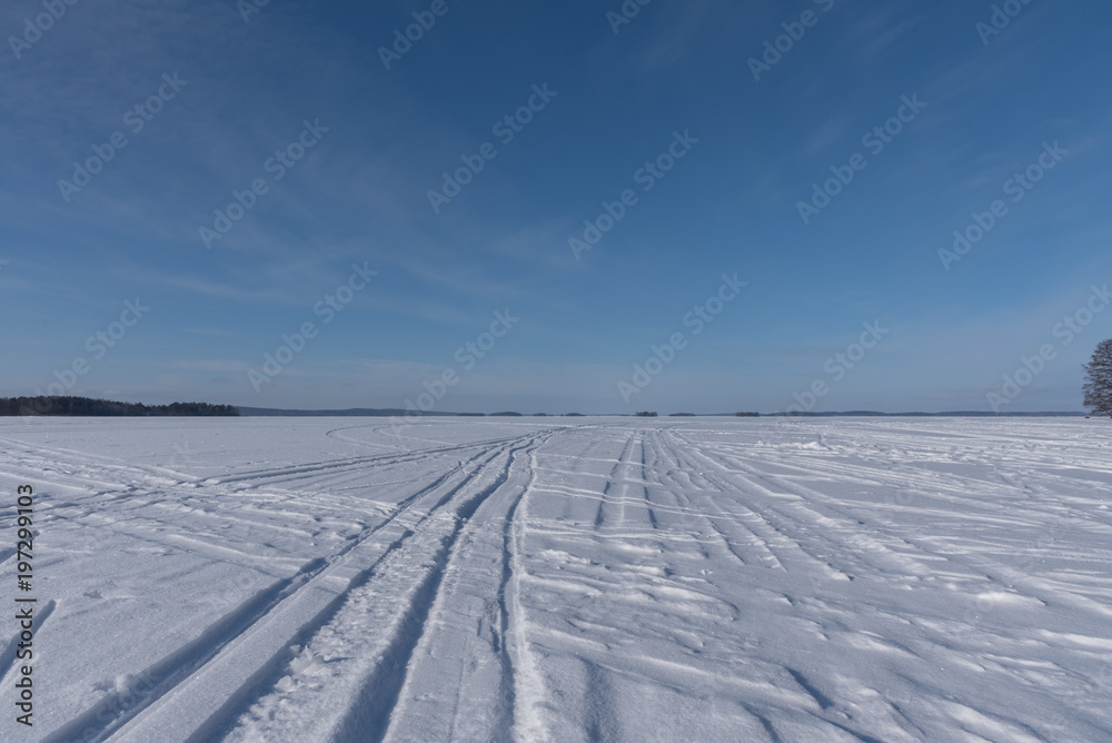 Trails and prints on frozen lake