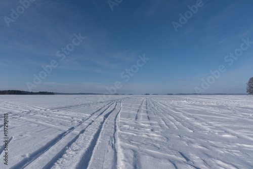 Trails and prints on frozen lake